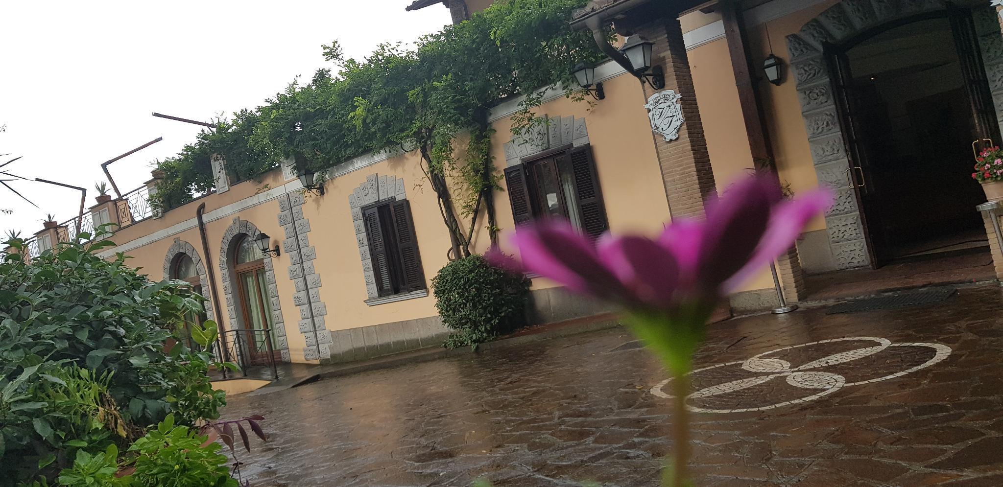 Villa Icidia Frascati Εξωτερικό φωτογραφία